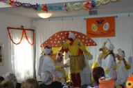 fasching 2014-12