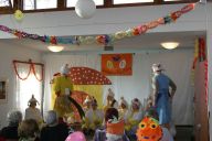 fasching 2014-14