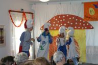 fasching 2014-23