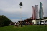 DSC05889