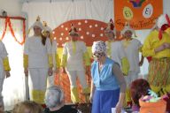 fasching 2014-16