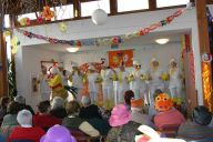fasching 2014-11